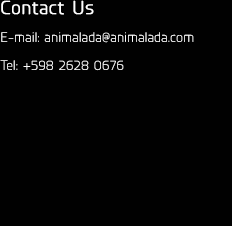 contact information